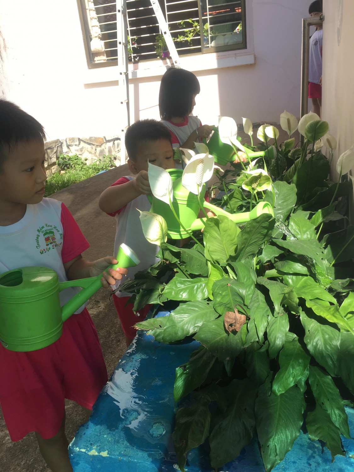 HÌNH ẢNH TRẺ CHĂM SÓC VƯỜN RAU