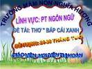 bap cai xanh